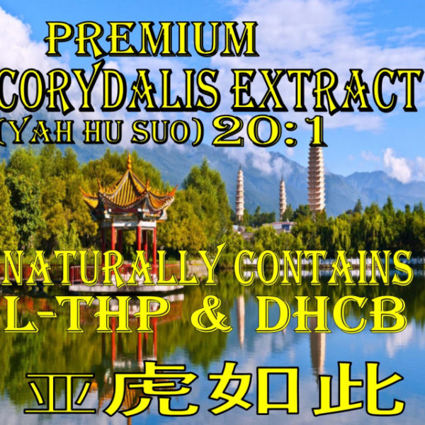 Corydalis_Extract_Powder_2
